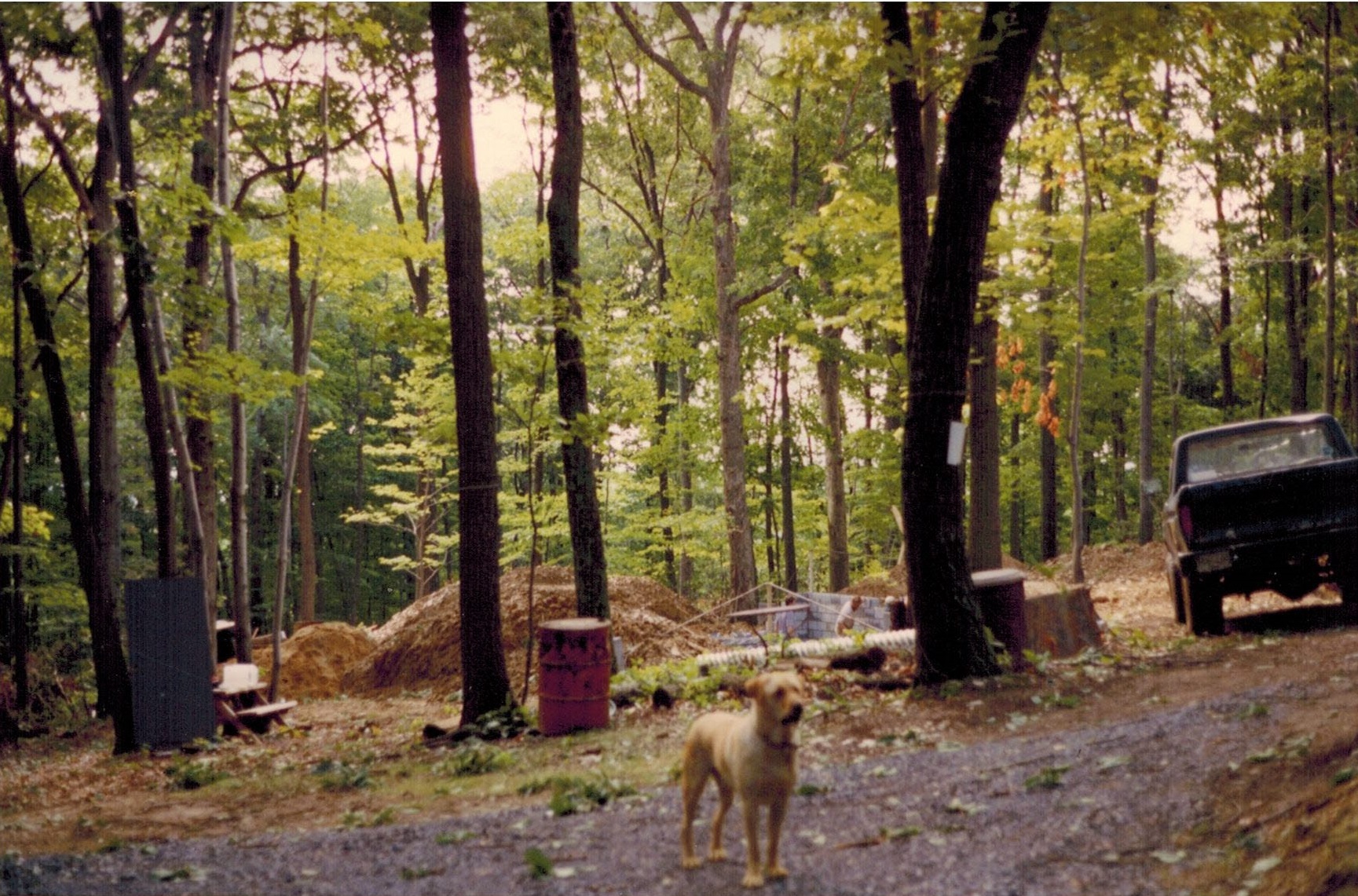 The Great Outdoors