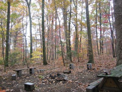Campfire Site