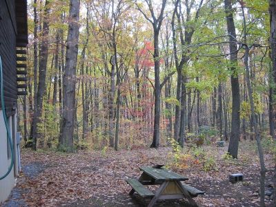 Picnic Table & Colors